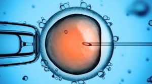 Gestación post mortem: “Un hijo que nace de una fertilización asistida es de quien presta el consentimiento, independientemente de la biología y la genética”